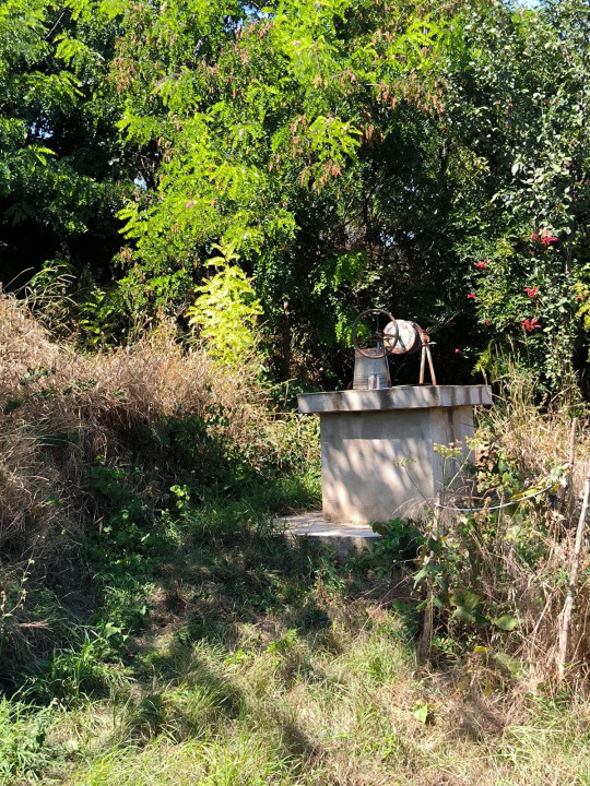 Teren intravilan si casa batraneasca, Popricani