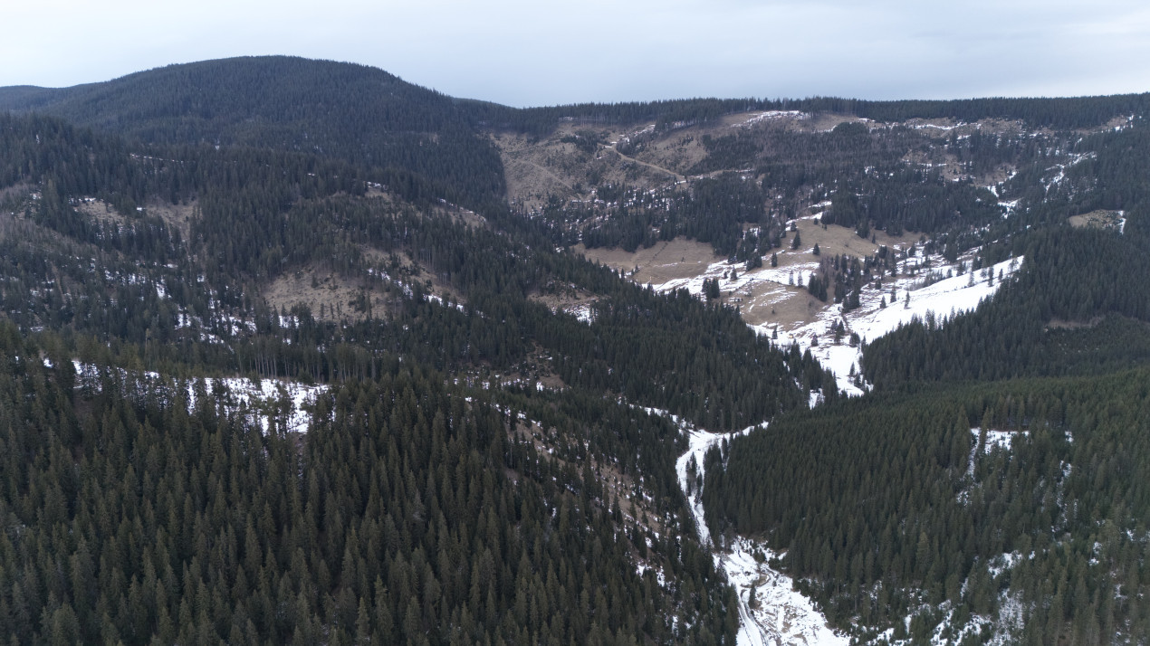 Teren Intravilan 11.844 MP, Breaza, Jud. Suceava