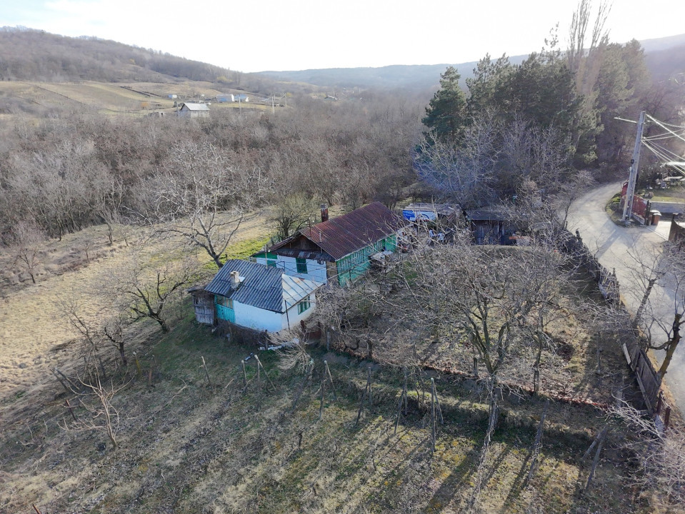 Teren Tomesti, 2150mp( intravilan+ extravilan)
