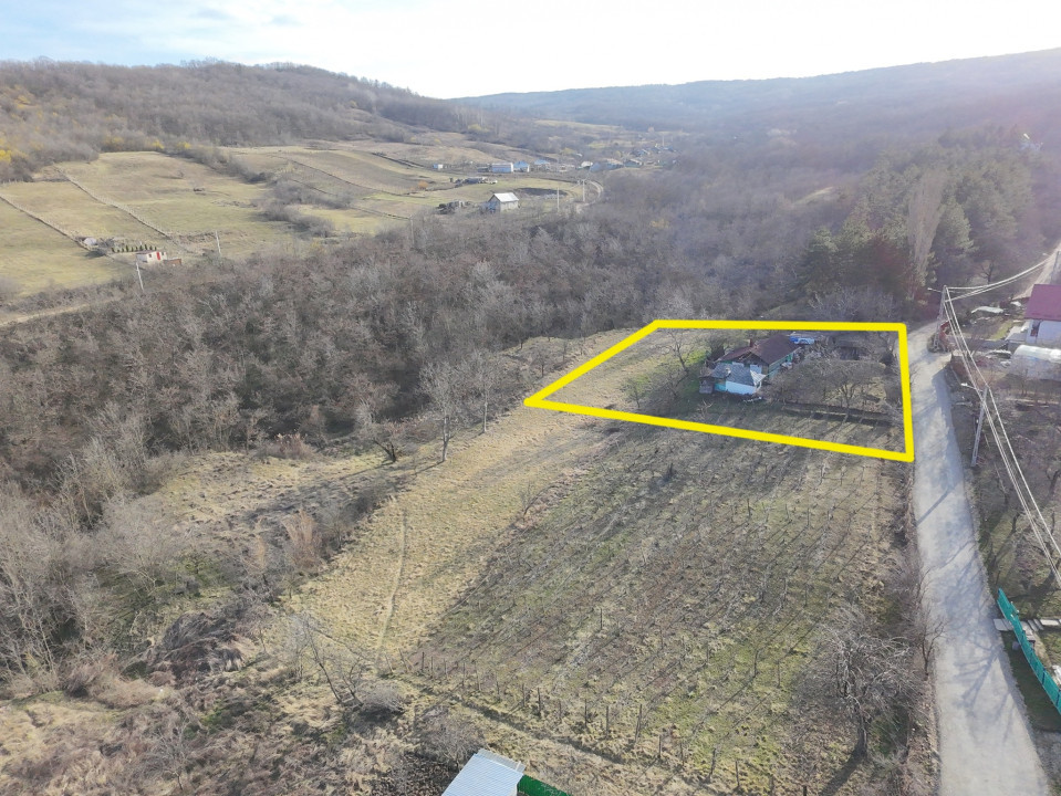 Teren Tomesti, 2150mp( intravilan+ extravilan)