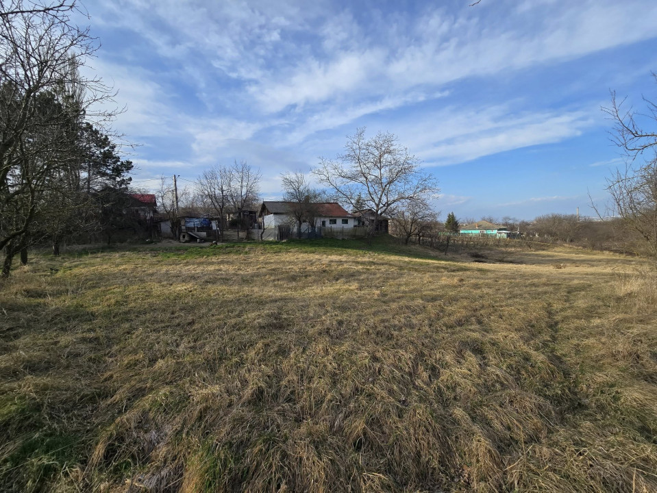 Teren Tomesti, 2150mp( intravilan+ extravilan)