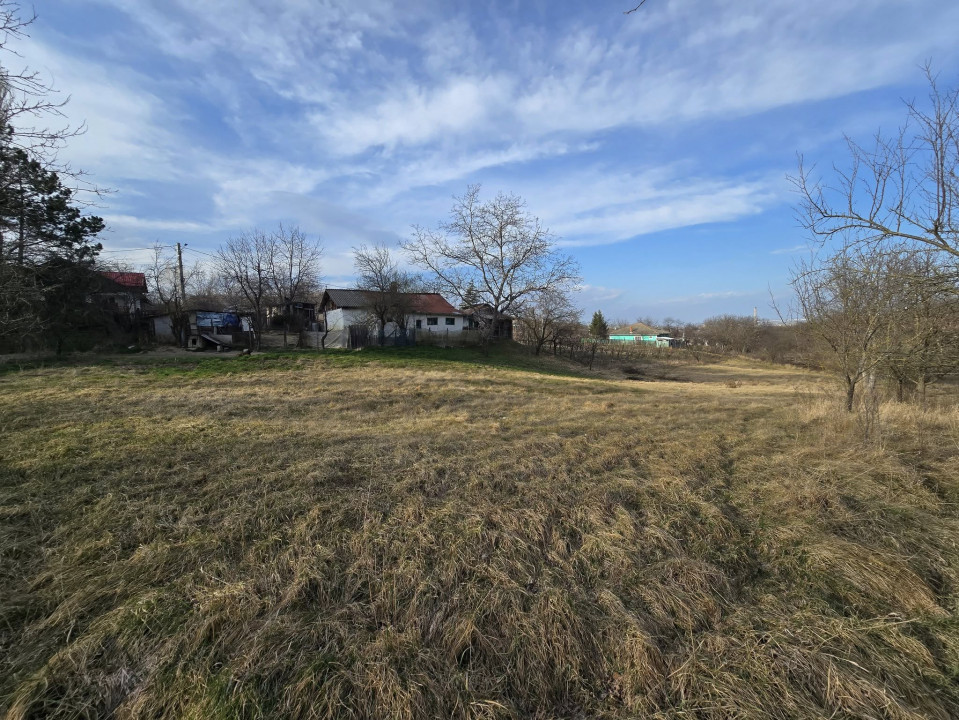 Teren Tomesti, 2150mp( intravilan+ extravilan)