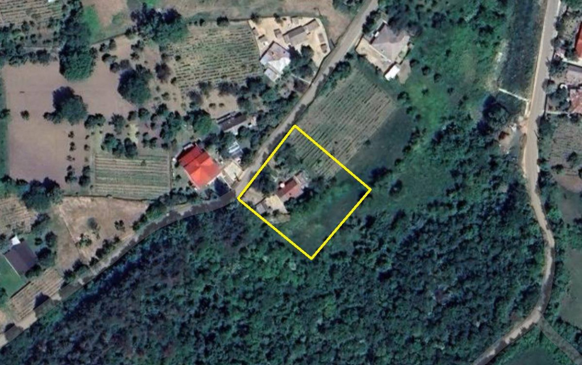 Teren Tomesti, 2150mp( intravilan+ extravilan)