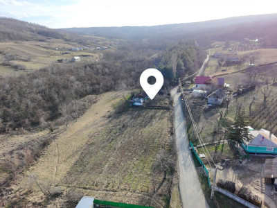 Teren Tomesti, 2150mp( intravilan+ extravilan)