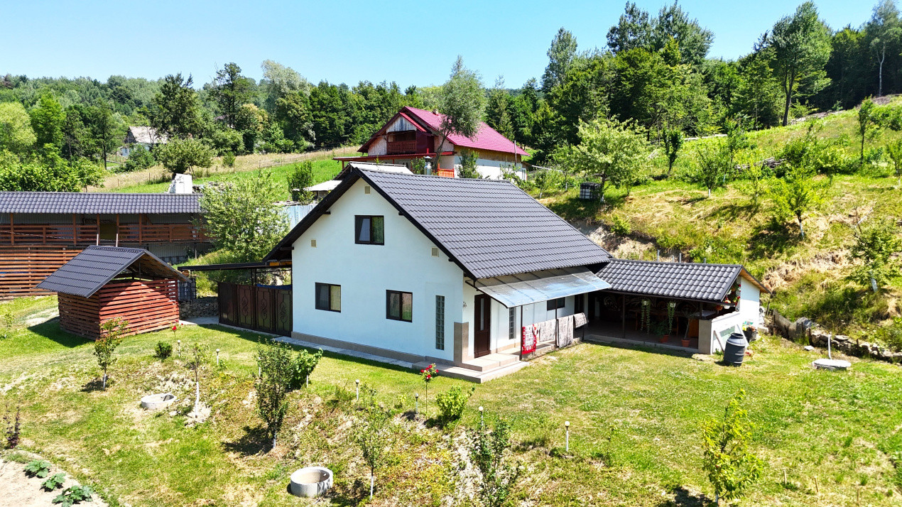 Casa+Teren+Anexe, 10.000 mp in Slatioara, Rasca
