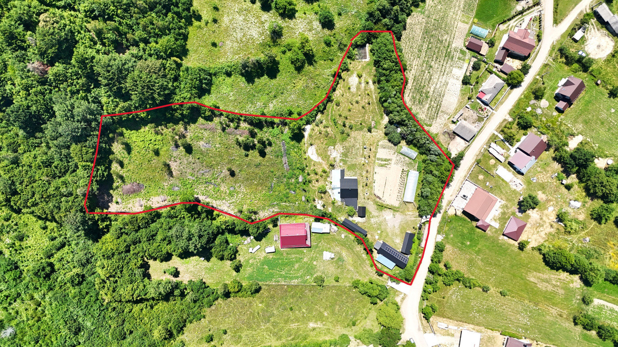 Casa+Teren+Anexe, 10.000 mp in Slatioara, Rasca