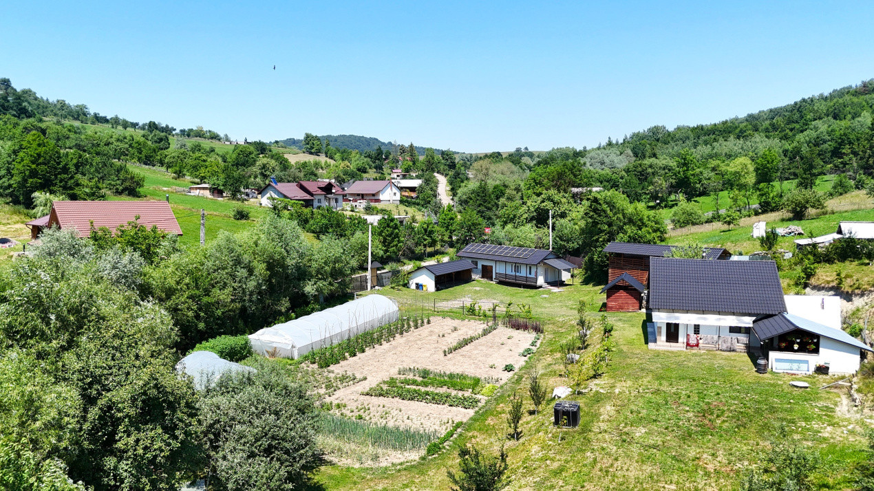 Casa+Teren+Anexe, 10.000 mp in Slatioara, Rasca