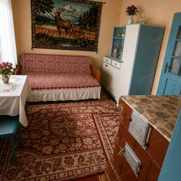 Casă 4 camere Săveni, Sat Nou | Teren 1.600 mp, acces dublu | 26.000 €